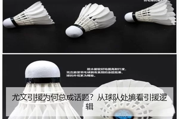 you-wen-yin-yuan-wei-he-zong-cheng-hua-ti-cong-qiu-dui-chu-jing-kan-yin-yuan-luo-ji-2-521.jpg